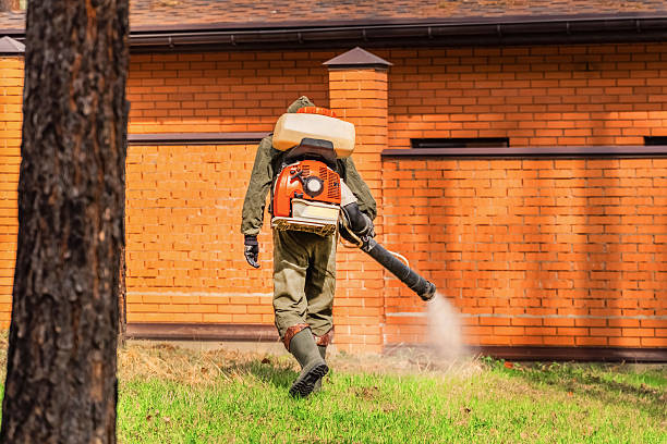 Bed Bug Clearance Verification and Documentation in Trabuco Canyon